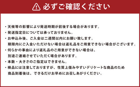 ZS-636 鹿児島県産 土付き ごぼう 約3kg【規格外・訳あり品】【2025年1月上旬～3月下旬発送予定】