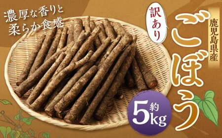 AS-075 鹿児島県産 土付き ごぼう 約5kg【規格外・訳あり品】【2025年1月上旬～3月下旬発送予定】