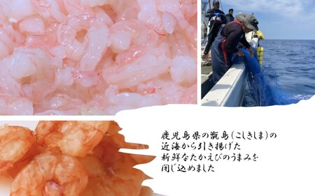 AS-169 えびくん(たかえびの燻製) 計75g(25g×3袋)