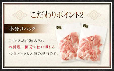 鹿児島県産黒豚 大容量 小分け パック 切り落とし 2kg（250g×8パック） 黒豚 黒豚切り落とし 切り落とし 豚肉 ウデ肉 肩肉　ASR-2165