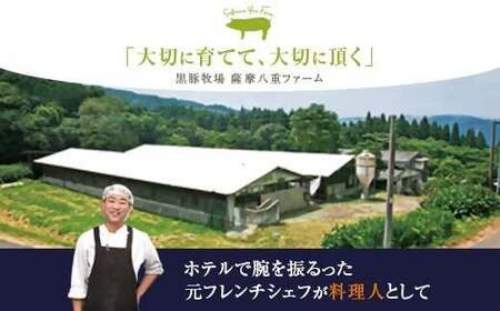 かごしま黒豚ウデ肉スライス 500g×隔月6回定期便 CS-557