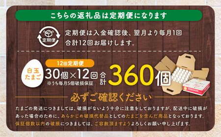 【2026年3月発送開始】【12ヶ月定期便】 電子たまご（白玉） 合計360個（30個×12回） 卵 たまご 白玉 定期 ES-610