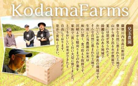 ZS-967 【KODAMAFARMS】鹿児島県産 ひのひかり 5kg 米 新米 精米 白米 お米