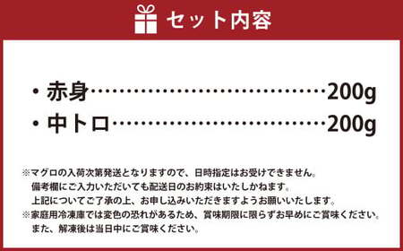 BS-379 鹿児島県産本マグロ 中トロ＆赤身セット 合計400g 本マグロ 大トロ 赤身 刺し身 セット 魚 【2026年1月下旬より順次出荷】