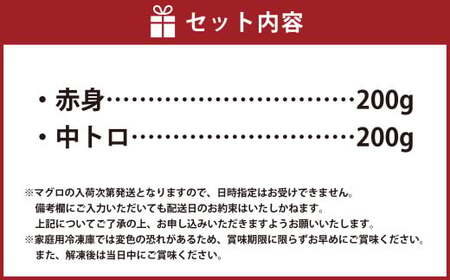 BS-920 鹿児島県産本マグロ 大トロ&赤身セット 合計400g 本マグロ 大トロ 赤身 刺し身 セット 魚 【2026年1月下旬より順次出荷】
