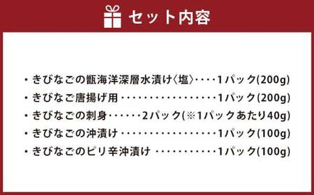 AS-2177 こしき島からの贈り物 甑の海 満喫セット きびなご 新鮮 刺し身 捕れたて 魚