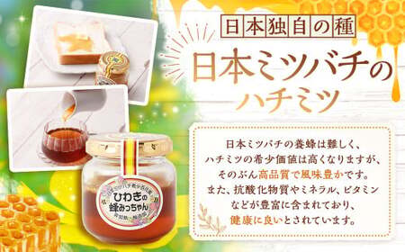 AS-879 ひわきの蜂みっちゃん 100g 希少 日本ミツバチ はちみつ 蜂蜜 ハチミツ ハチ蜜 濃厚