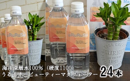 うるるすービューティーマグウォーター 海洋深層水 100% マグネシウムウォーター（硬度1100） BS-144