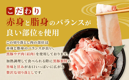 GSR-033 【隔月6回定期便】鹿児島県産黒豚 大容量小分けパック切り落とし 合計12kg(2kg×6回) 黒豚 黒豚切り落とし 切り落とし 豚肉 ウデ肉 肩肉