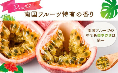 【数量限定】パッションフルーツ青果贈答品　L・LL玉8～10個入り こしき姫 南国フルーツ パッションフルーツ 果物 AS-495