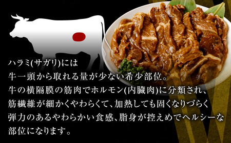 やわらか 牛ハラミ（サガリ）肉 極旨秘伝醤油タレ漬け 合計900g（300g×3袋）【訳あり】ハラミ 牛肉 ZS-803
