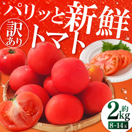 トマト出品❶ 訳ありトマト 8～14玉 （約2kg）【2027年1月中旬～5月下旬発送予定