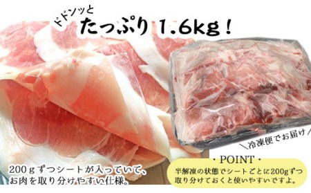 CS-021 【数量限定】【訳あり】鹿児島県産 黒豚 しゃぶしゃぶ用 計4.8kg (1.6kg×3) 豚肉
