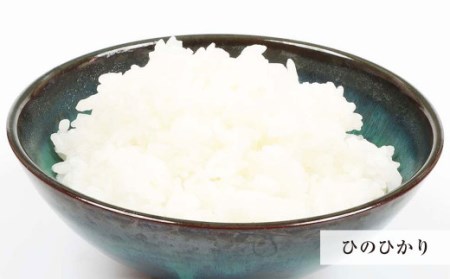 AS-824 鹿児島県産ひのひかり 6kg(2kg×3)・3種の炊き込みご飯の素 セット