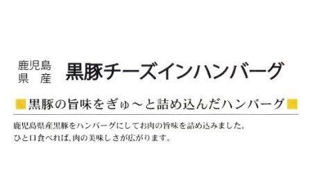 AS-110 鹿児島県産 黒豚 煮込み チーズインハンバーグ 180g×4個