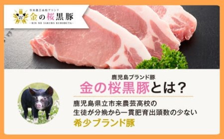 AS-044 鹿児島県産 黒豚 中華丼の具 4パック(レンジ対応)レトルト