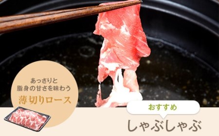 ESR-802 かごしま黒豚たっぷり3kgセット(ロース・モモ・バラ) 薩摩八重ファーム みかく亭