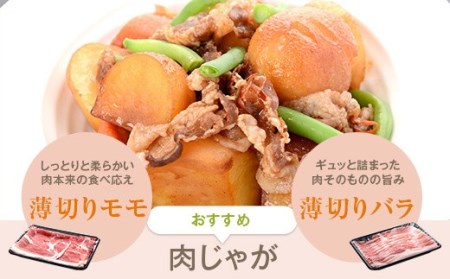 ESR-802 かごしま黒豚たっぷり3kgセット(ロース・モモ・バラ) 薩摩八重ファーム みかく亭