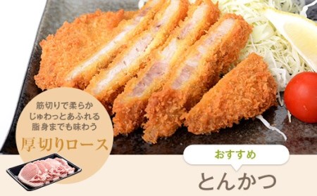 ESR-802 かごしま黒豚たっぷり3kgセット(ロース・モモ・バラ) 薩摩八重ファーム みかく亭