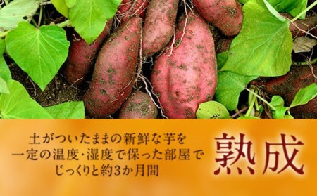 Z-593 鹿児島県産紅はるか冷凍焼き芋 ×3袋