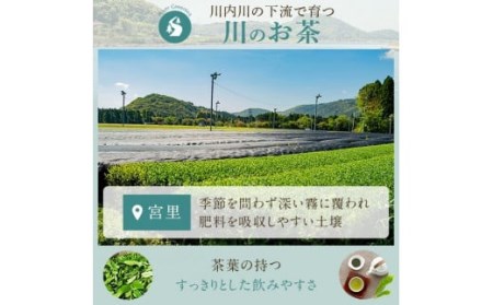 FS-406 崎原製茶 川内ほまれ【紫】煎茶 計1kg（100g×10パック）お茶 緑茶