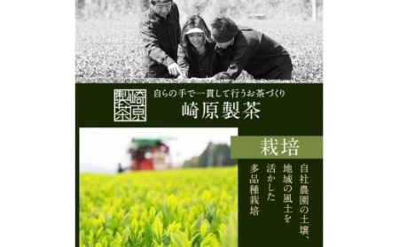 FS-406 崎原製茶 川内ほまれ【紫】煎茶 計1kg（100g×10パック）お茶 緑茶