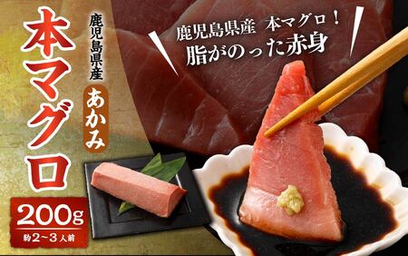 AS-2044 鹿児島県産 本マグロ【赤身】200g 約2～3人前 マグロ まぐろ 赤身 魚 【2026年1月下旬より順次出荷】