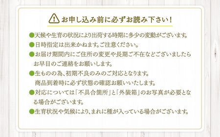 【先行予約】【数量限定】シャインマスカット2kg　(2～6房) 「2026年7月下旬より順次出荷予定」 BS-714