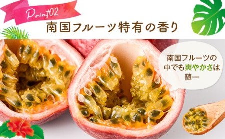 【数量限定】 甑島のパッションフルーツ 青果2.5kg ご自宅用 こしき姫 南国フルーツ 甑島 パッションフルーツ BSR-863
