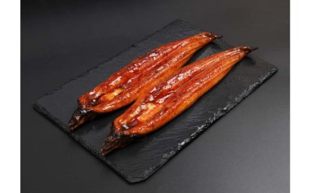 AS-310 【訳あり】 鹿児島県産うなぎ蒲焼（有頭）×2尾（280ｇ） 冷蔵