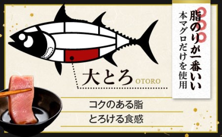 CSR-510　鹿児島県産本マグロ(大トロ三昧) 合計400g(200g×2袋) 【2026年1月下旬より順次出荷】