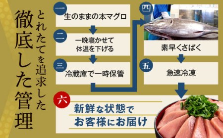 CSR-510　鹿児島県産本マグロ(大トロ三昧) 合計400g(200g×2袋) 【2026年1月下旬より順次出荷】