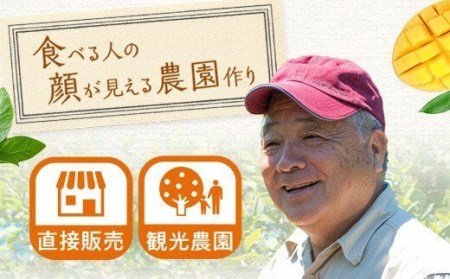 【数量限定】冷凍ブルーベリー 800g（100g×8） (B-20) AS-588