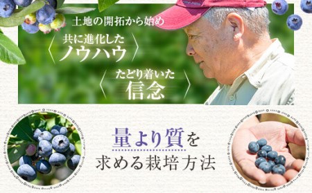 【数量限定】冷凍ブルーベリー 1000g(500g×2) (B-18) AS-7101