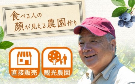 BS-019 【数量限定】ブルーベリーコンポート840g（140g×6本） (B-28)