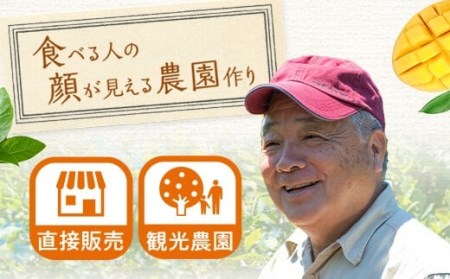 AS-338 【数量限定】ブルーベリー＆マンゴー果汁ジュース 1080g（180g×各3本）ｾｯﾄ (S-13)