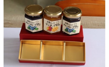 AS-146 ブルーベリーとマンゴーのジャム 330g(110g×3個) (S-11)