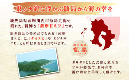 BS-334 甑島のタカエビ(薩摩甘えび)60尾(15尾×4パック)