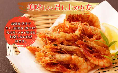 BS-334 甑島のタカエビ(薩摩甘えび)60尾(15尾×4パック)