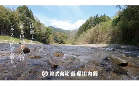 ZS-614 うなぎ肝の佃煮缶詰 60g×2個