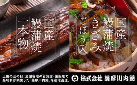 AS-143 九州産うなぎ蒲焼×1尾 + 国産きざみうなぎ ごぼう入り(タレ付き)×1袋 セット