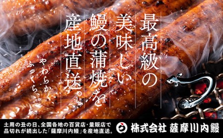 AS-143 九州産うなぎ蒲焼×1尾 + 国産きざみうなぎ ごぼう入り(タレ付き)×1袋 セット