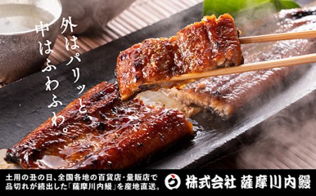 AS-143 九州産うなぎ蒲焼×1尾 + 国産きざみうなぎ ごぼう入り(タレ付き)×1袋 セット