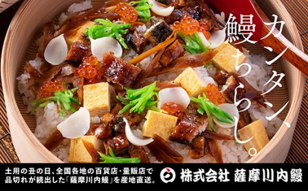 AS-143 九州産うなぎ蒲焼×1尾 + 国産きざみうなぎ ごぼう入り(タレ付き)×1袋 セット