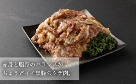 ZS-689 鹿児島県産 黒豚うで肉の味噌漬け3袋 合計840g