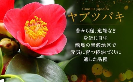 AS-456 甑島(こしきしま)椿油セット