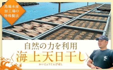 ZS-917 甑島の干物3点セット