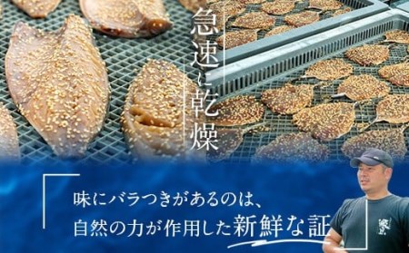 ZS-917 甑島の干物3点セット