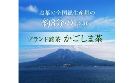 AS-131 お茶のぶどう園 鹿児島煎茶「大綱みどり」高級煎茶３本セット