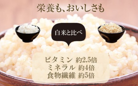 BS-376 発芽玄米 4kg(1kg×4袋)